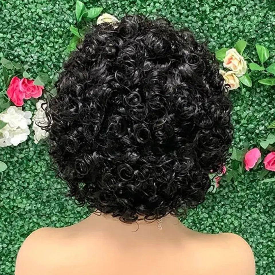 Curly Human Hair Wig Short Bob Wig  For Women Lace Front Human Hair Wigs 13X1 T Part Lace Wig Deep Wave Pixie Cut Wigs