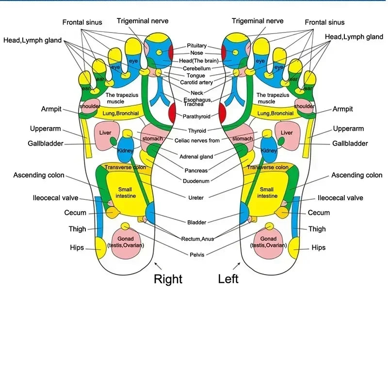 Fußmassage-Matte Akupressur Entspannungs-Massagepad Triggerpunkt Gesundheits-Therapie Entspannung Schmerzlinderung Reflexologie Spaziergang Steinweg