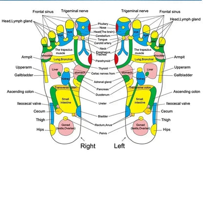Fußmassage-Matte Akupressur Entspannungs-Massagepad Triggerpunkt Gesundheits-Therapie Entspannung Schmerzlinderung Reflexologie Spaziergang Steinweg