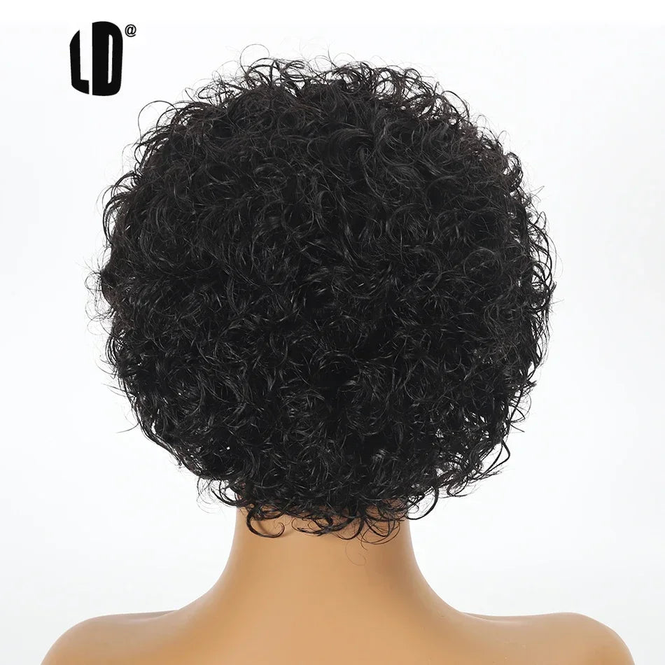 Brazilian Human Hair Wig  Curly Pixie Bob Short Preplucked Hairline 13X1 Hd Lace Front Bob Water Wave Wig