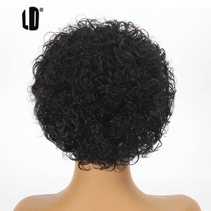 Brazilian Human Hair Wig  Curly Pixie Bob Short Preplucked Hairline 13X1 Hd Lace Front Bob Water Wave Wig