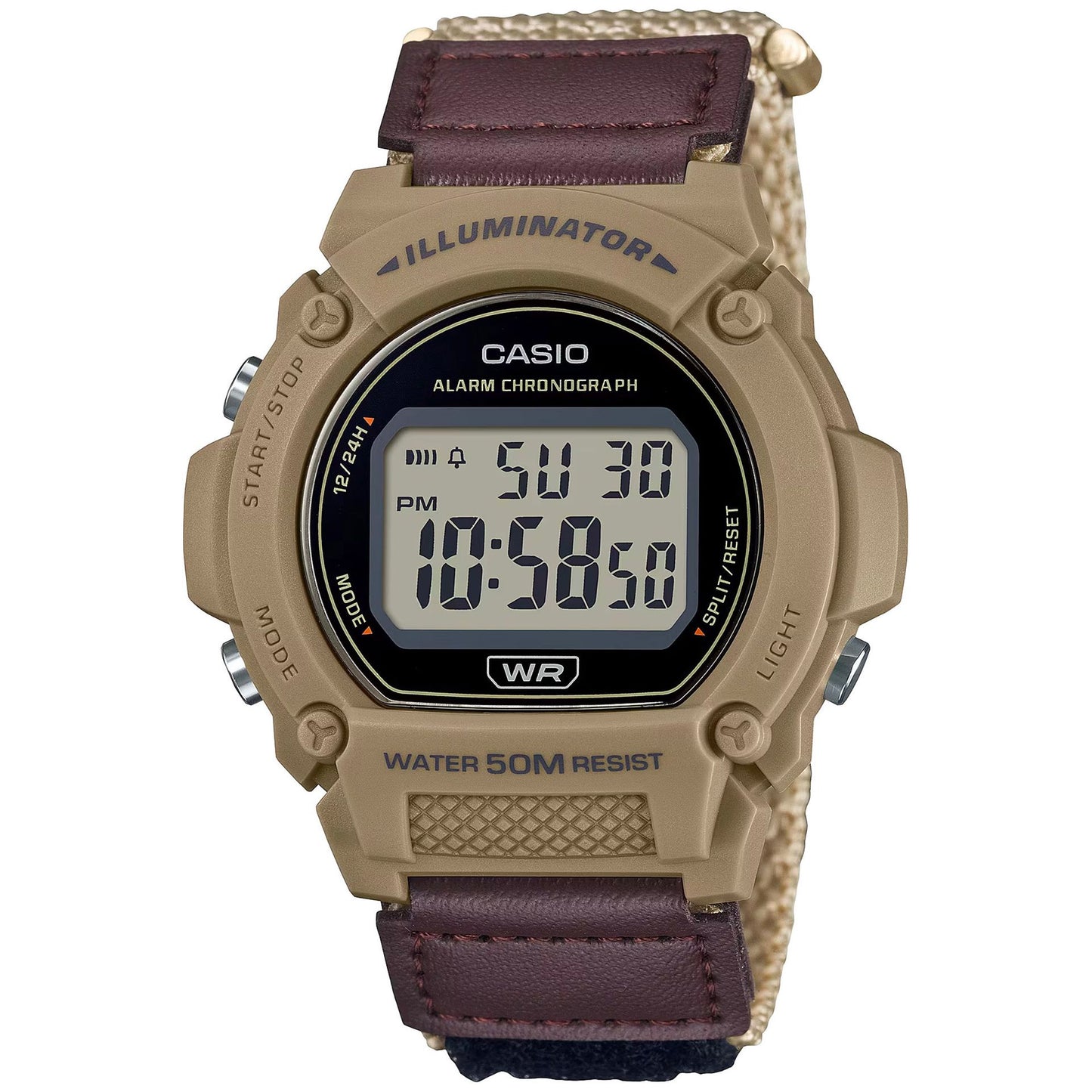 Casio Watches 